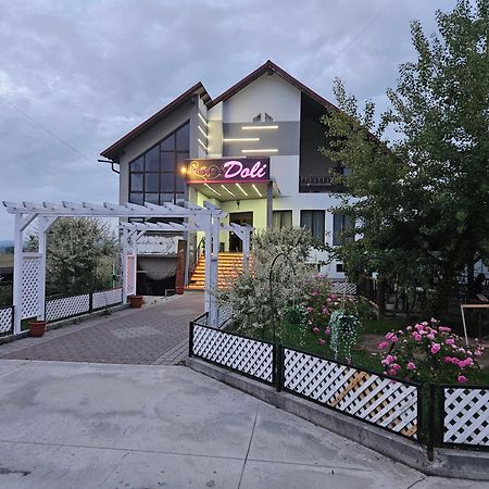 Pensiunea Doli Sighetu Marmaţiei 외부 사진